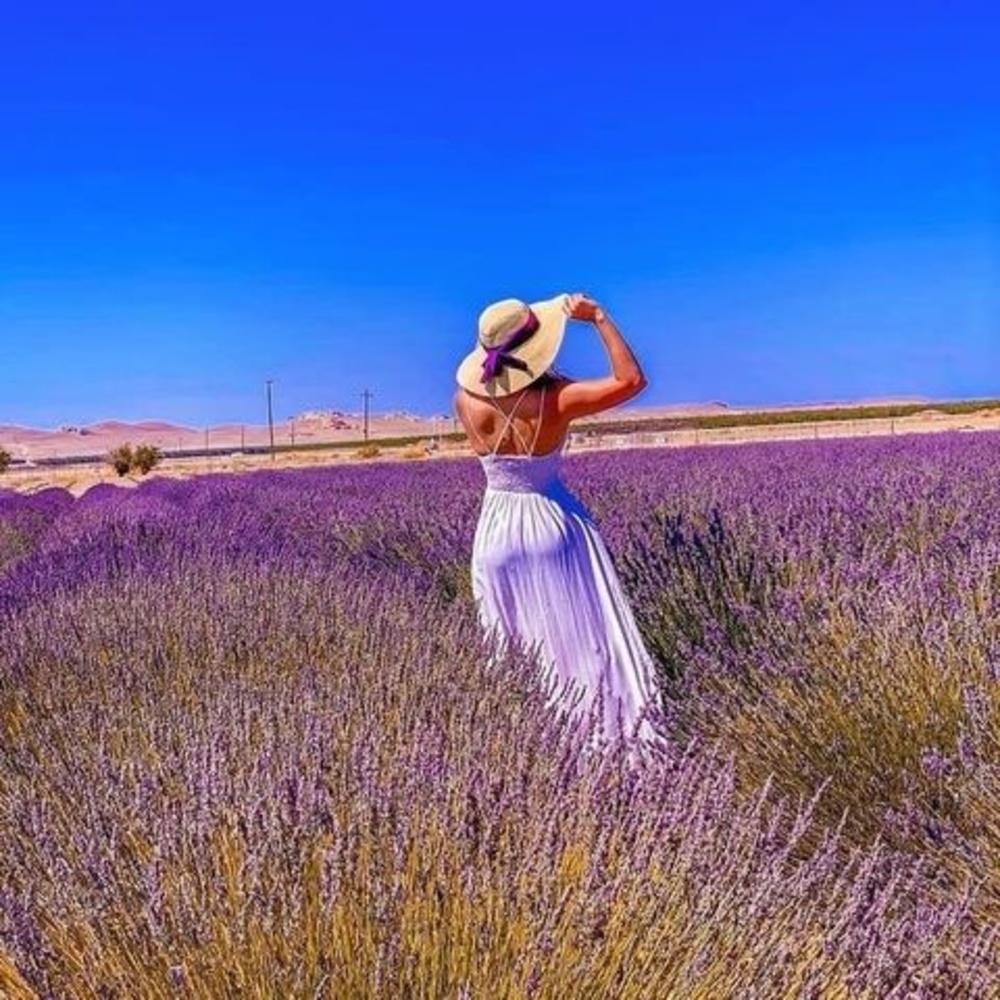 Meet your Posher, Gi